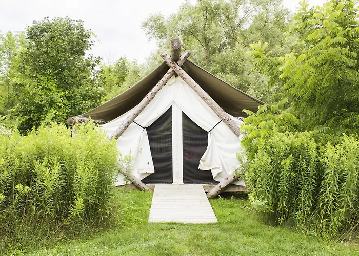 Firelight Camps